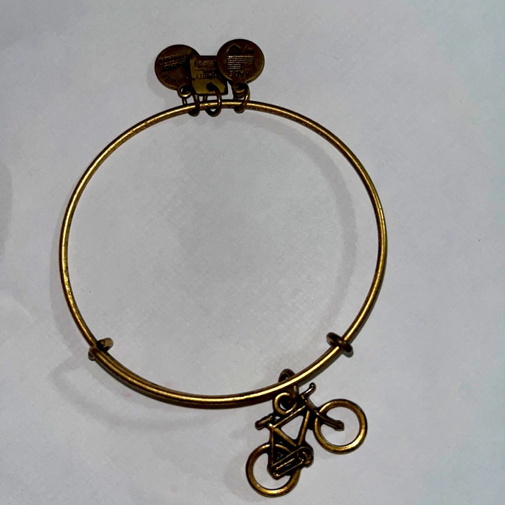 Bicycle Alex and Ani adjustable bracelet